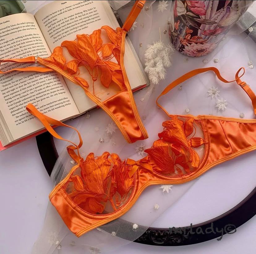 PAISLEY NET BRA SET V3
