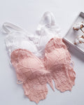 (30-36)Butterfly 🦋 Style Fashion Bra (043)