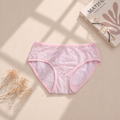 Very Soft Daily Wear Net Panties