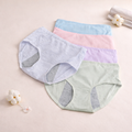 Double Layer Very Soft Period Panties