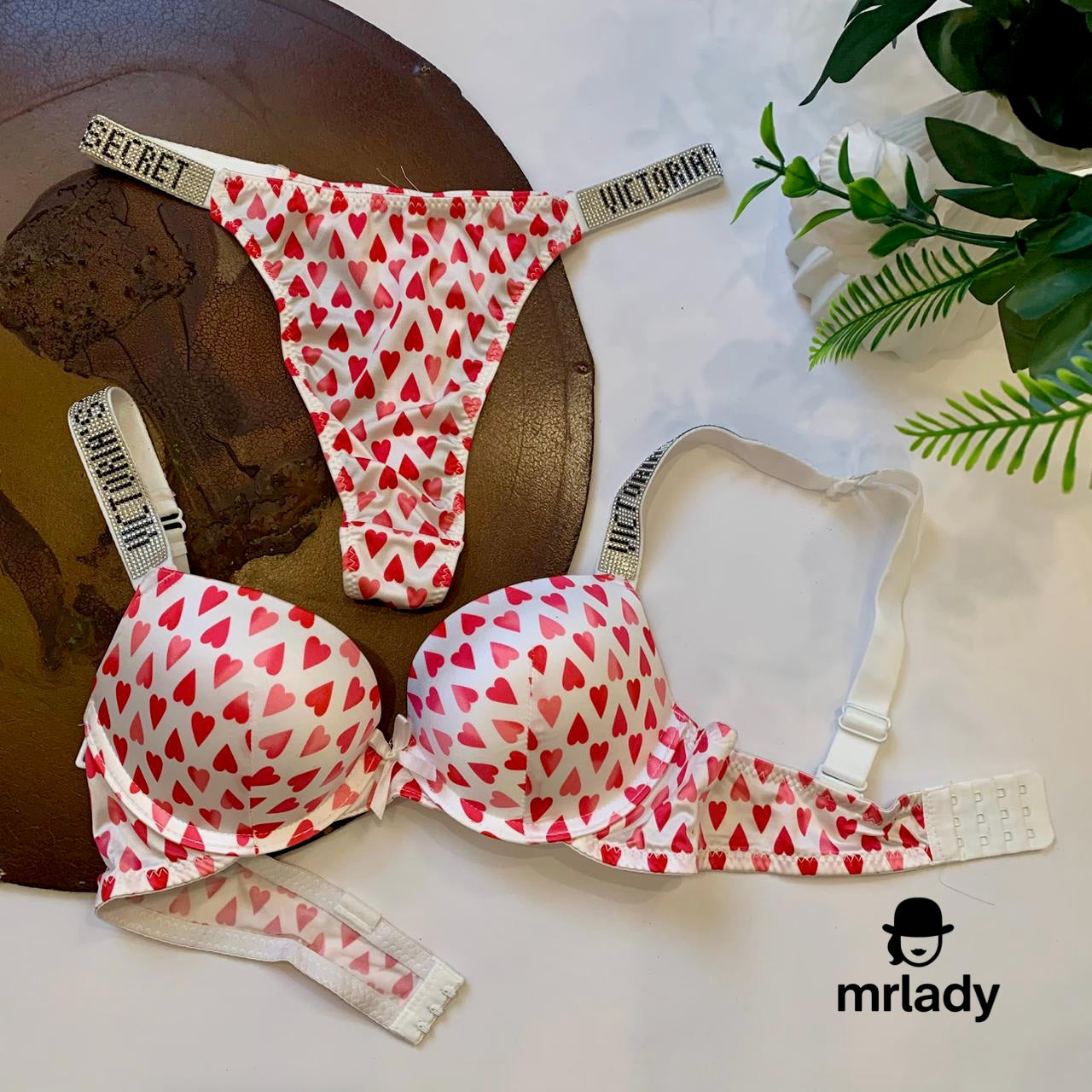 VICTORIA SECRET PUSH UP BRA SET V1
