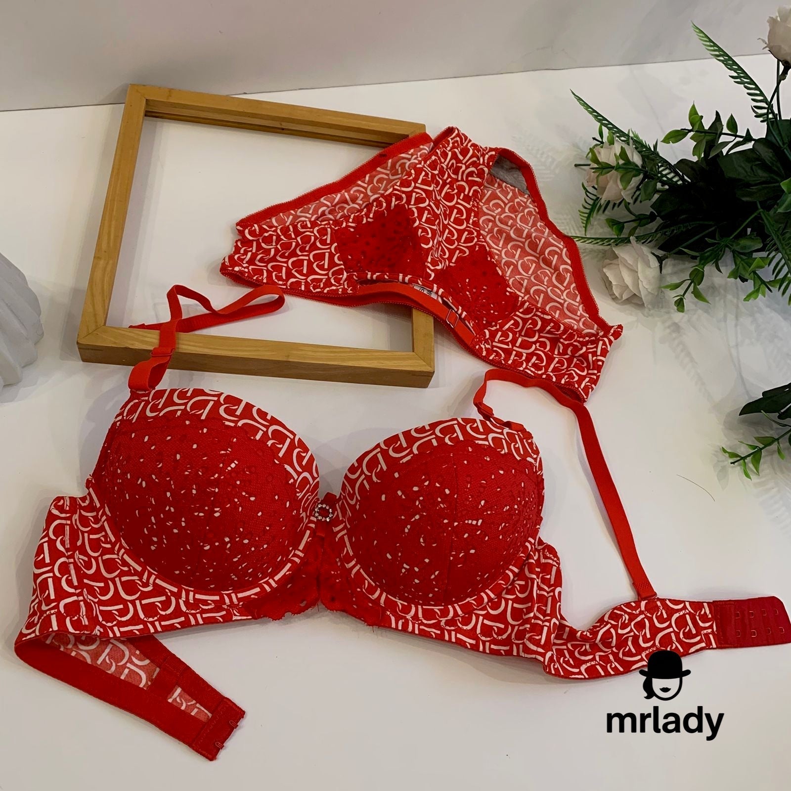 SENSIE THIN PADDED BRA SET V1