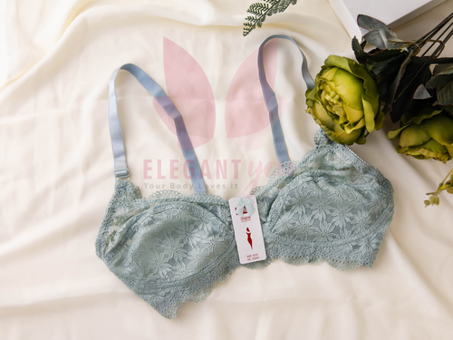(32-42)b  Beautiful Dailywear Net  Bra (031)