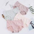 Pack of 4 Double Layer Soft Underwear